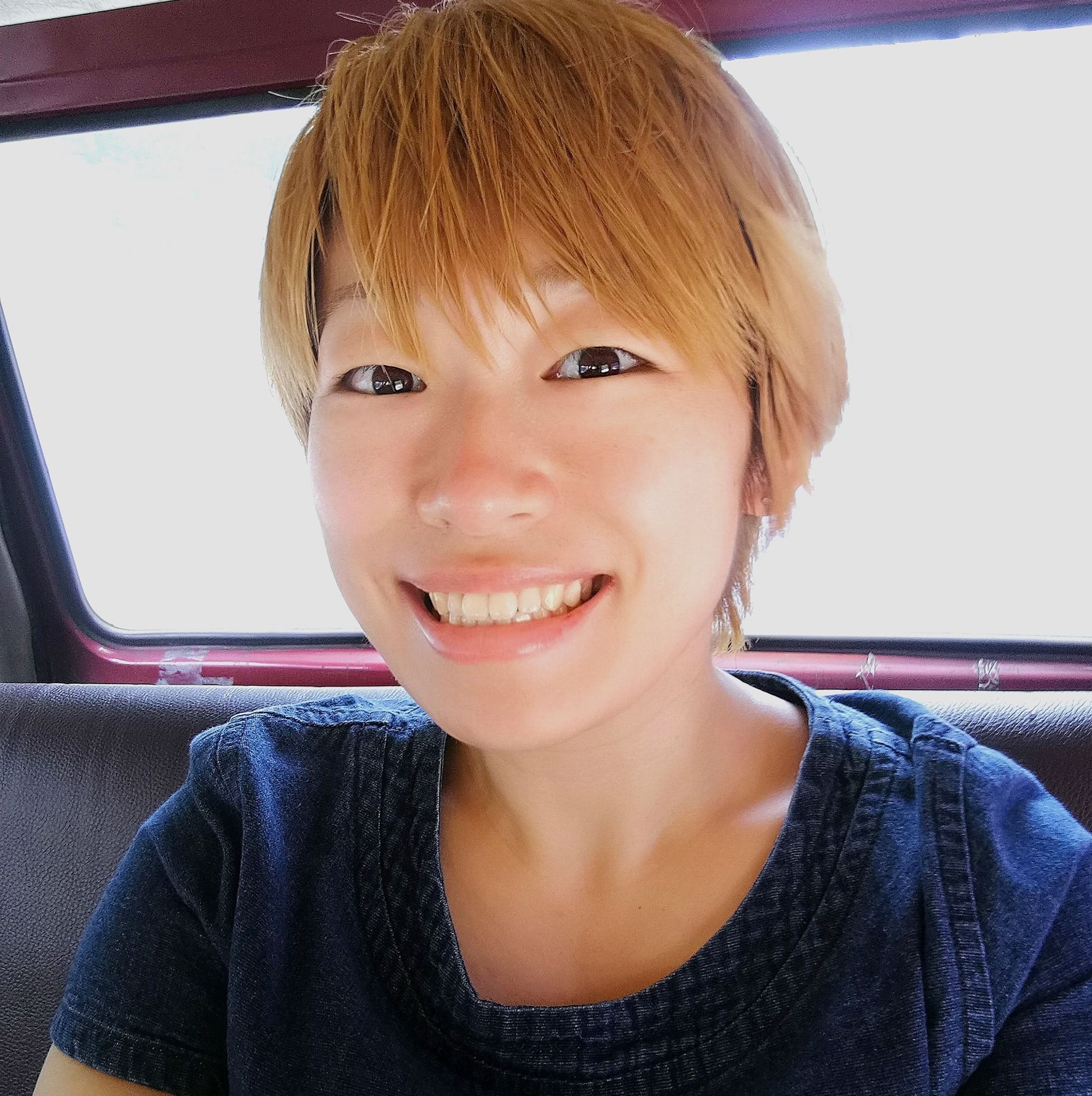 甲斐田